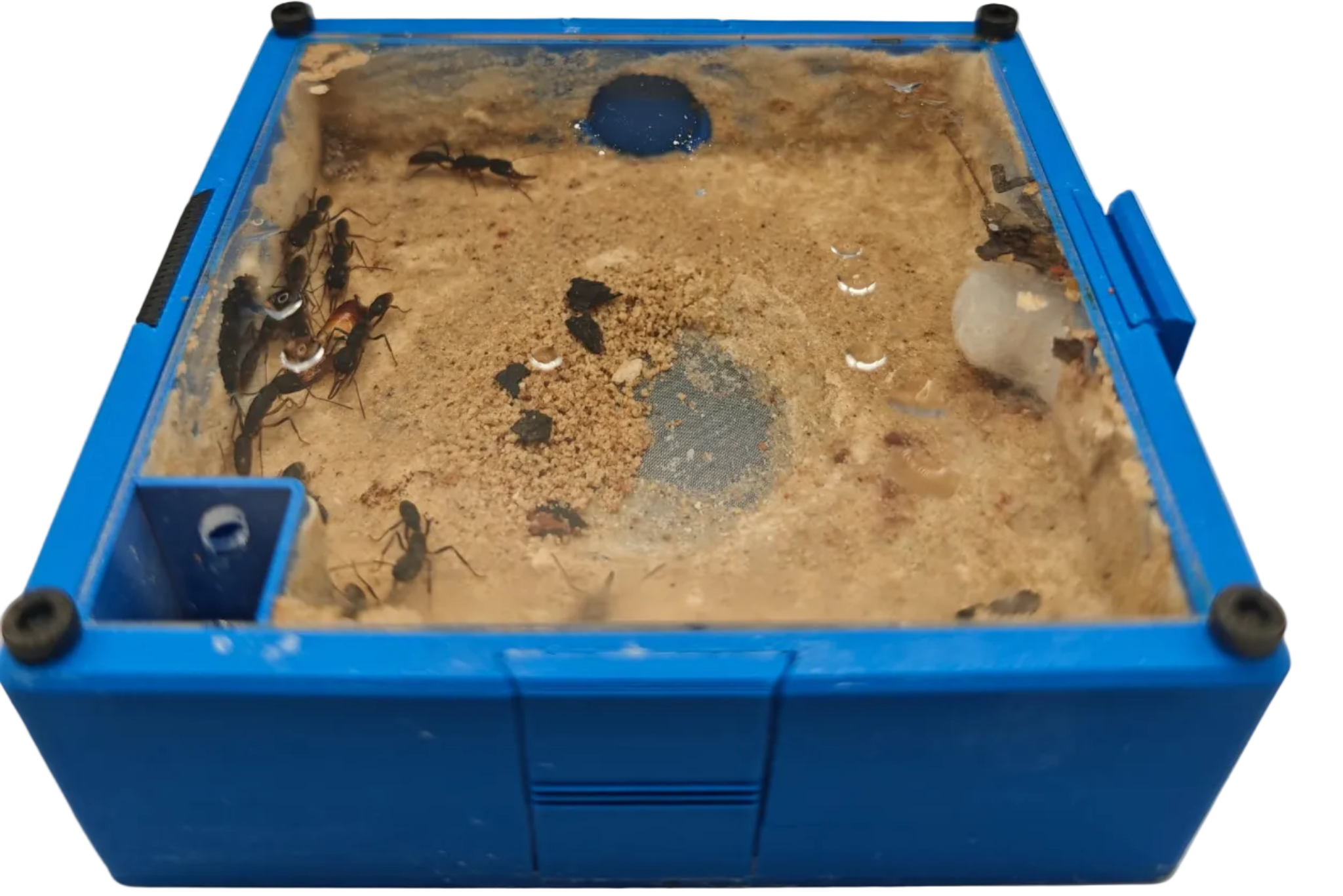 TerraCore "Ponerie Type Water"